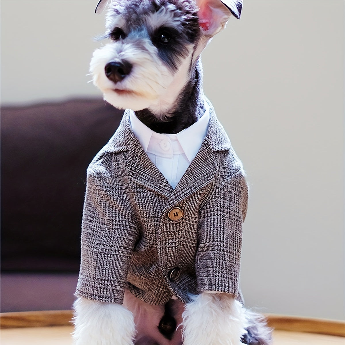 Pet Suit Jacket for Dog