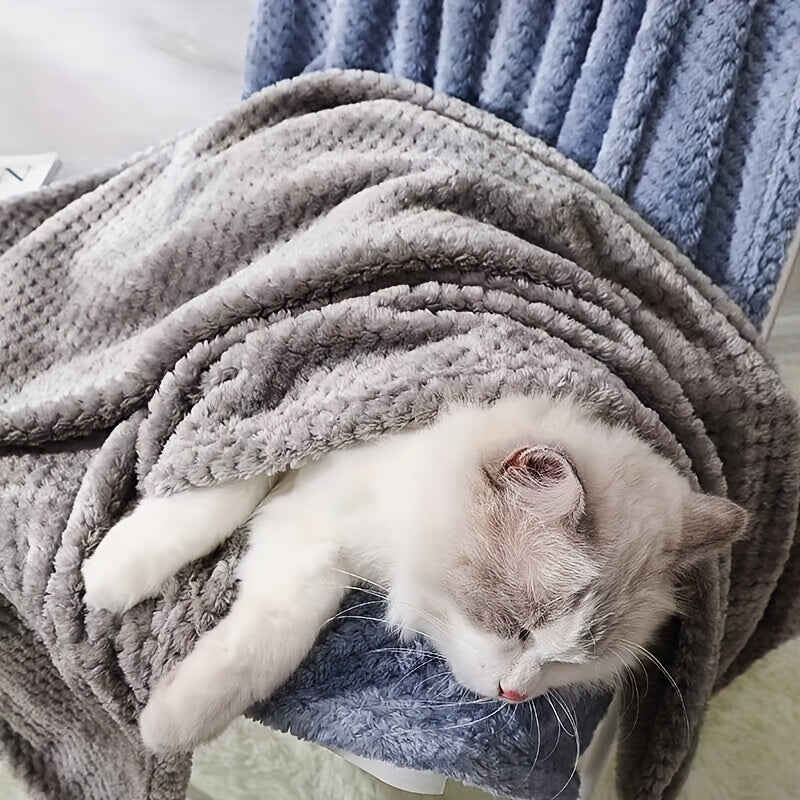 Cozy Luxurious Plush Pet Blanket for Dogs & Cat