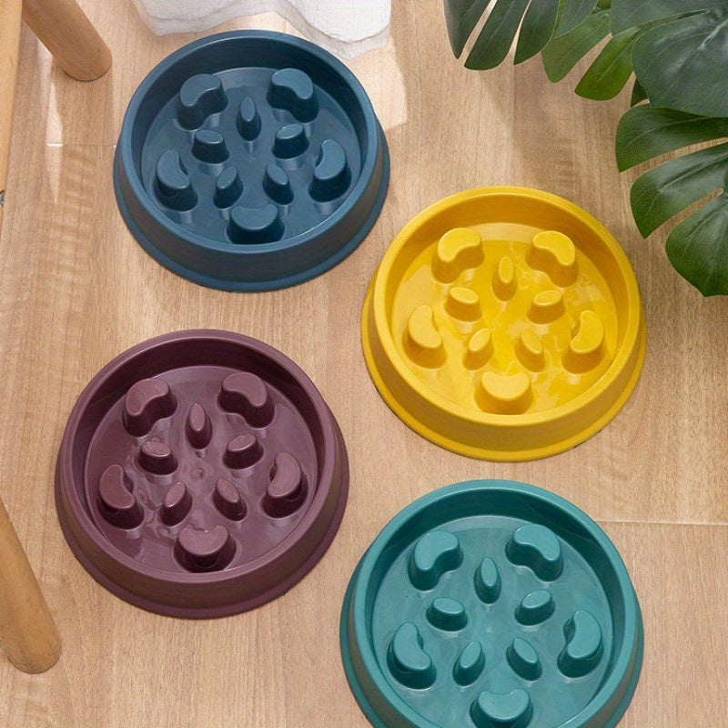 Slow Feeder Bowl
