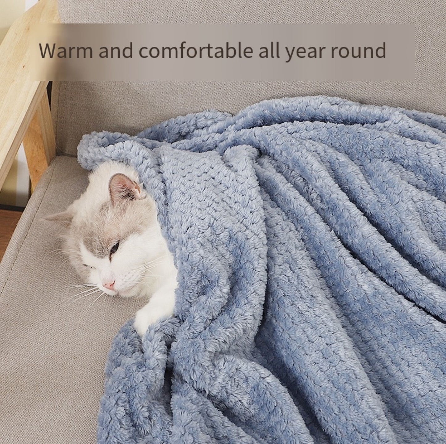 Cozy Luxurious Plush Pet Blanket for Dogs & Cat