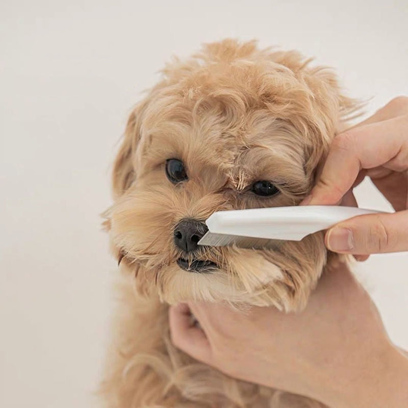 Keep Your Pet's Coat Healthy and Shiny with Pet Dog Cat Comb!