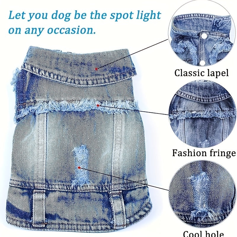 Stay Cool This Summer With Cute Dog Clothes - Jeans Clothing!