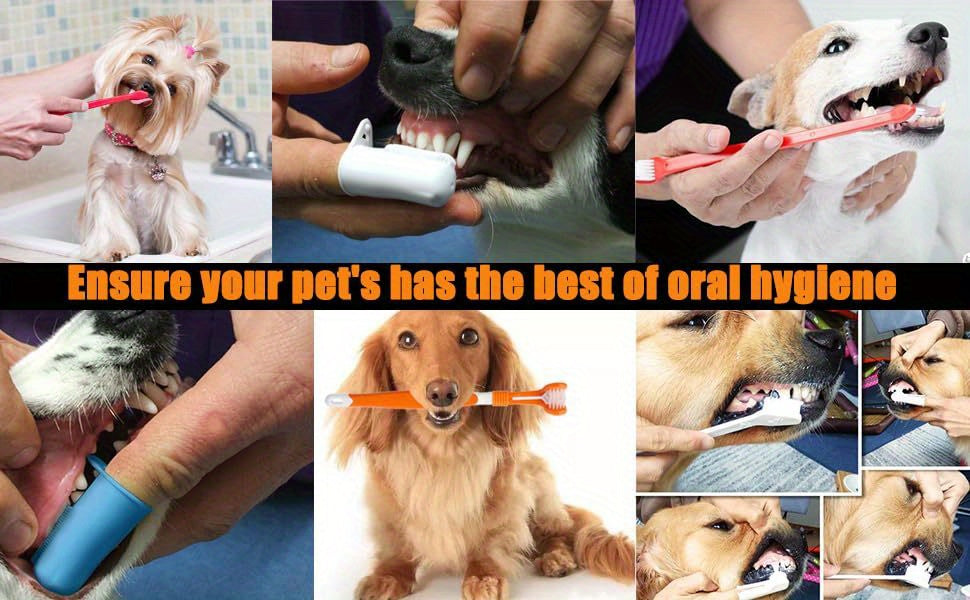 Dog Toothbrush Set