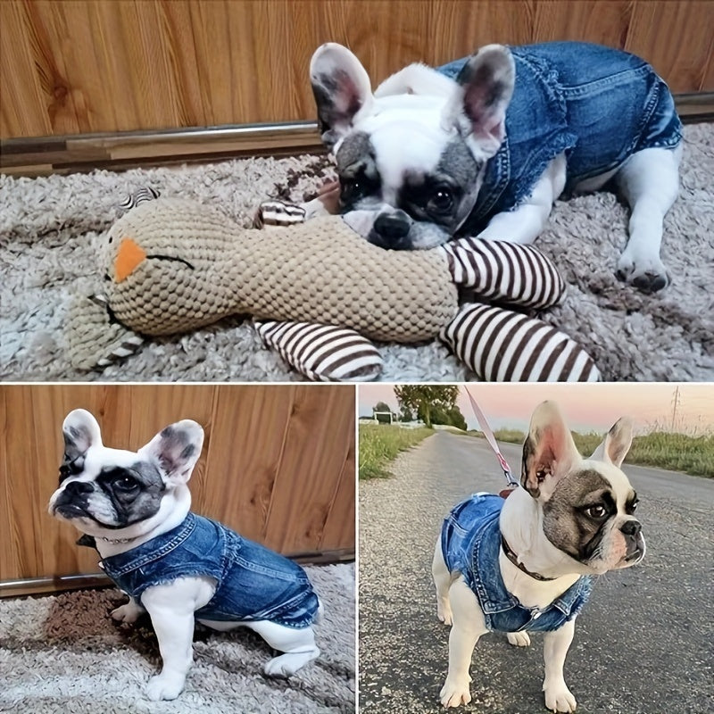 Stay Cool This Summer With Cute Dog Clothes - Jeans Clothing!