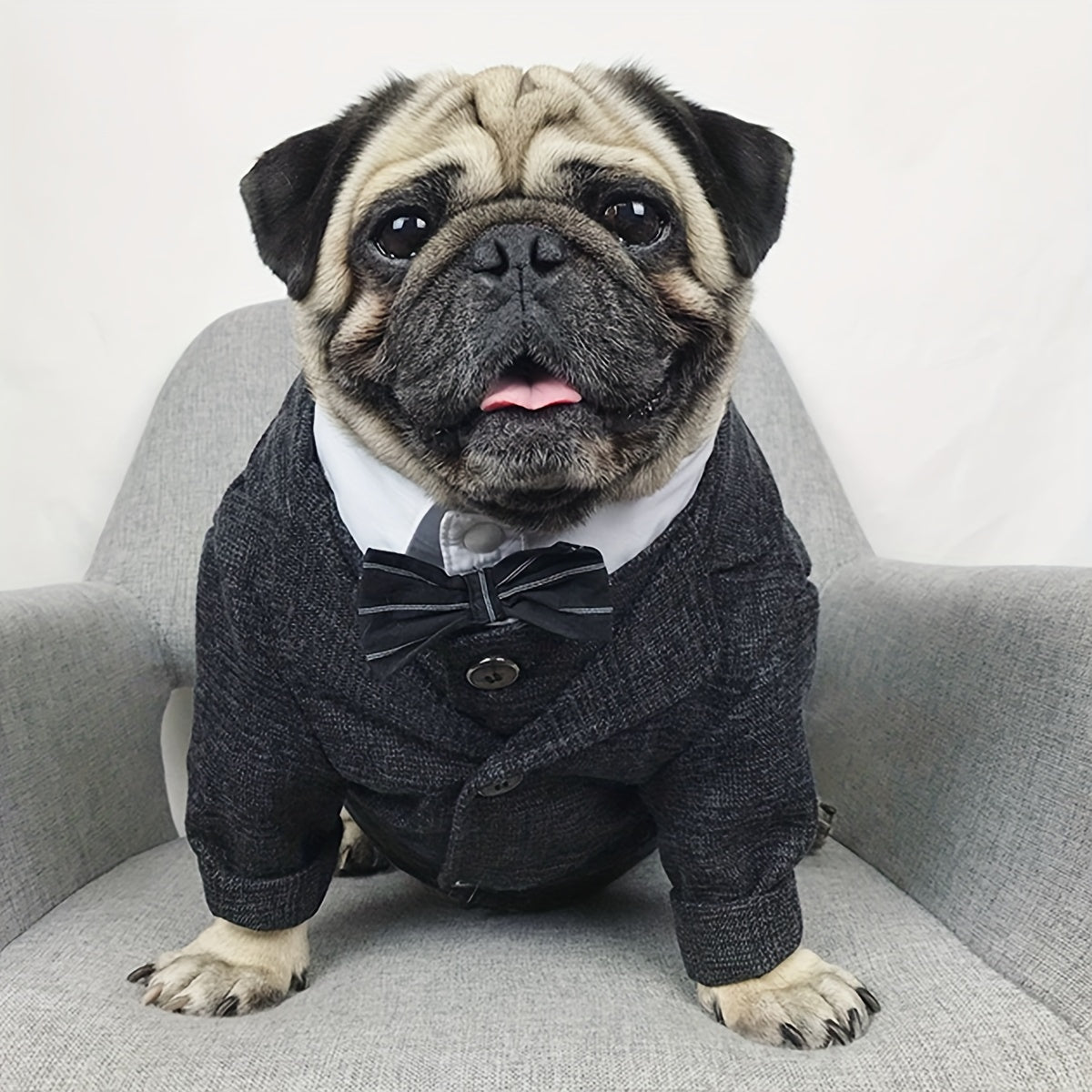 Pet Suit Jacket for Dog