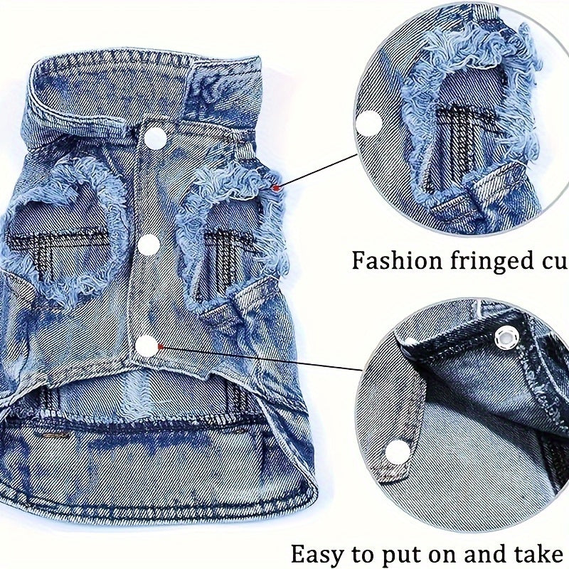Stay Cool This Summer With Cute Dog Clothes - Jeans Clothing!