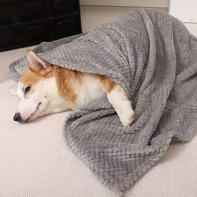 Cozy Luxurious Plush Pet Blanket for Dogs & Cat