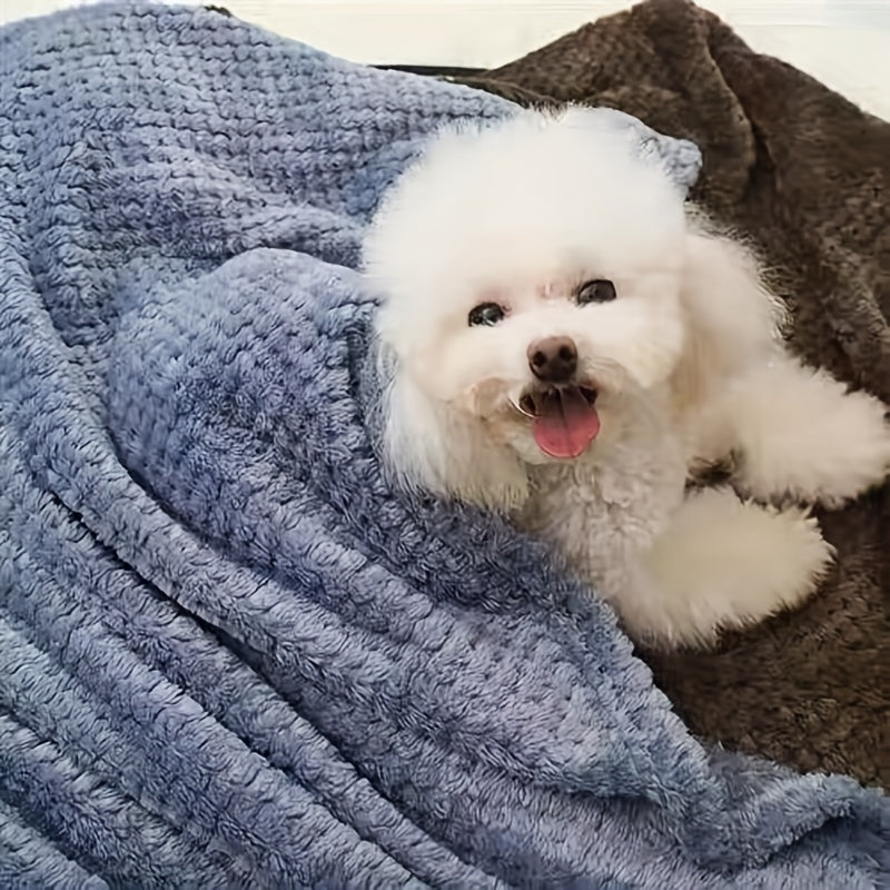 Cozy Luxurious Plush Pet Blanket for Dogs & Cat
