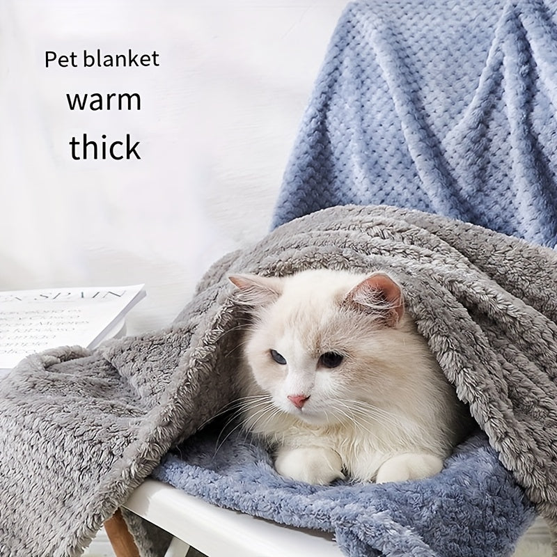 Cozy Luxurious Plush Pet Blanket for Dogs & Cat