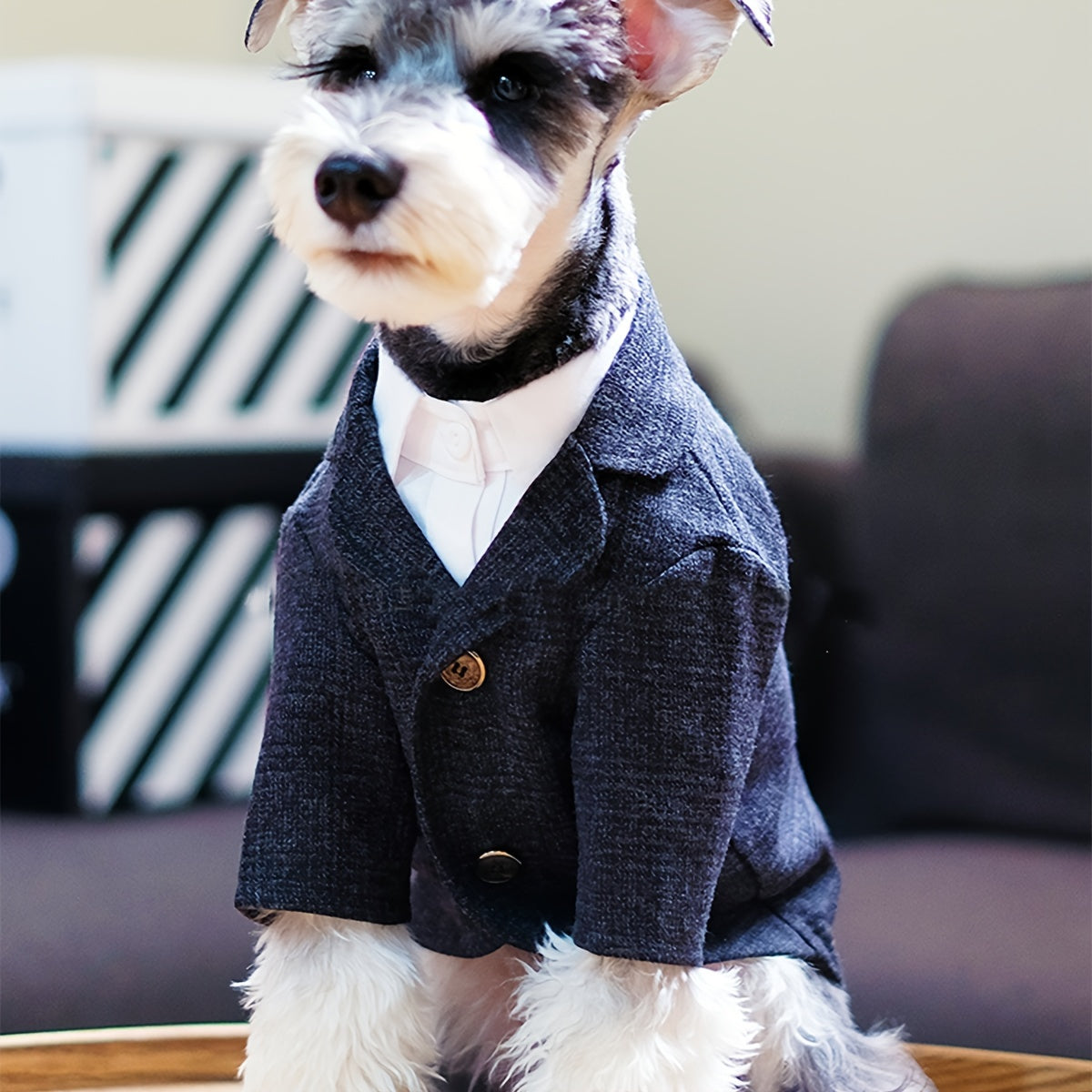 Pet Suit Jacket for Dog