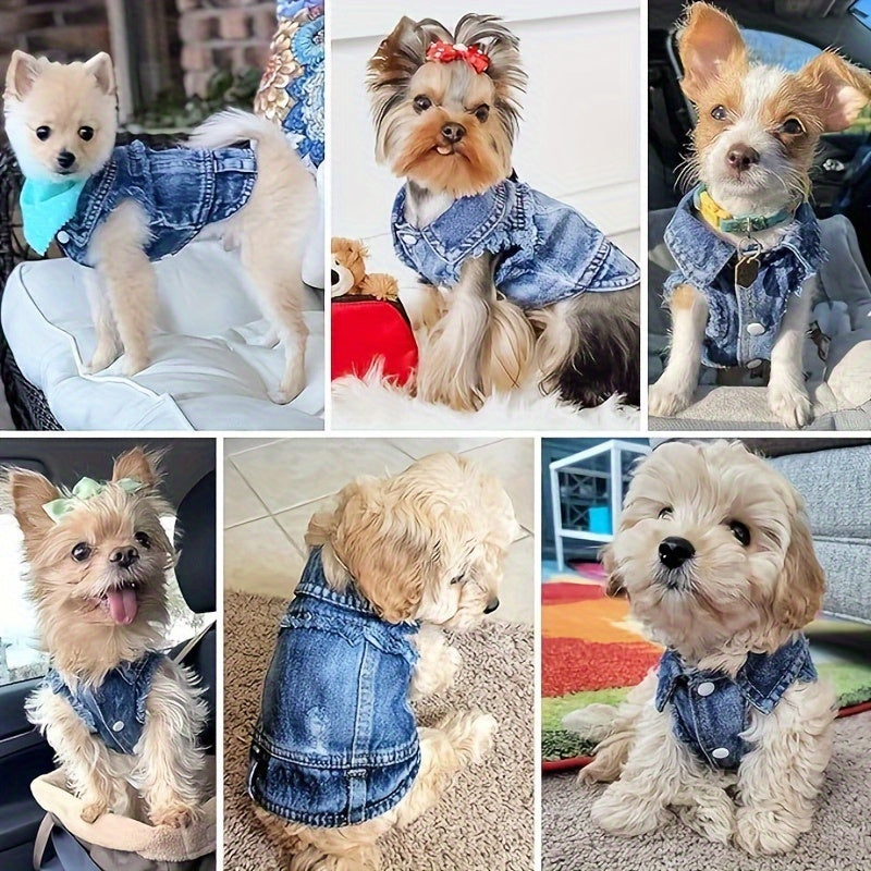 Stay Cool This Summer With Cute Dog Clothes - Jeans Clothing!