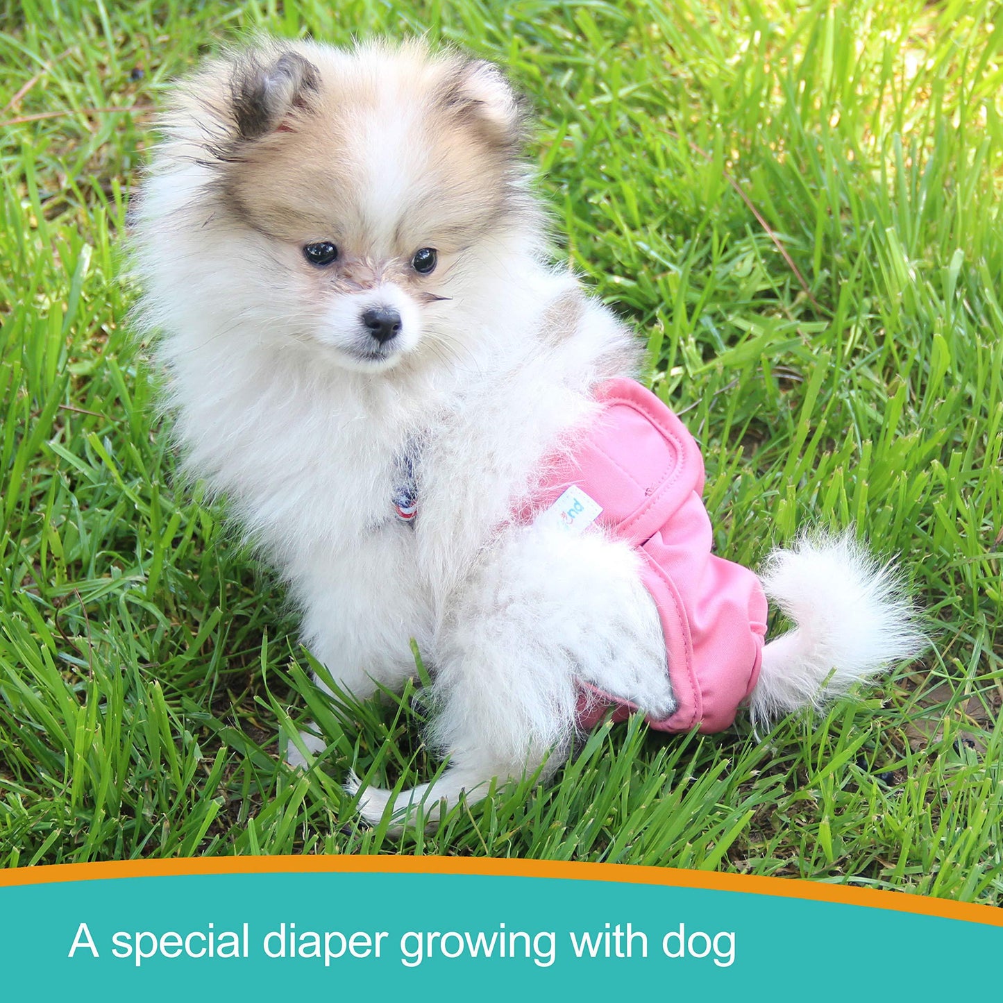 Absorbent Reusable Female Dog Diapers