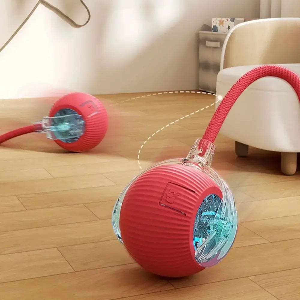Smart Rechargeable Cat and Dog Interactive Ball