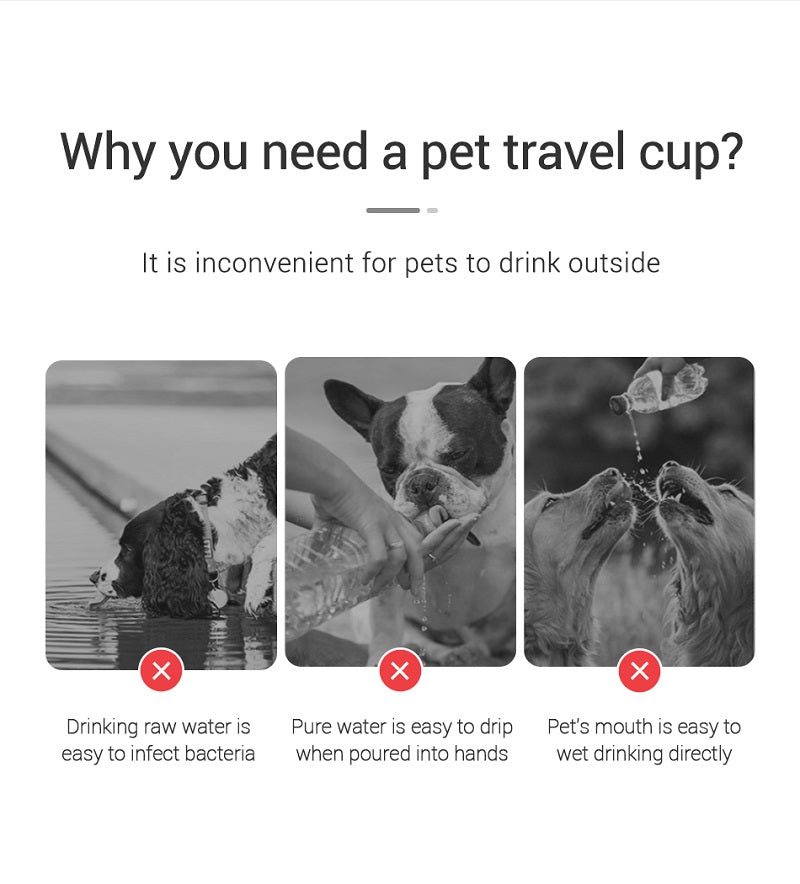 Portable Dog Water Bottle For Dogs