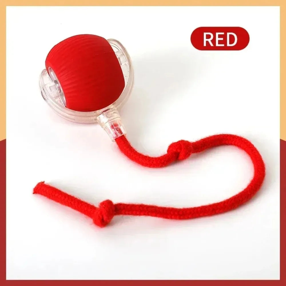Smart Rechargeable Cat and Dog Interactive Ball