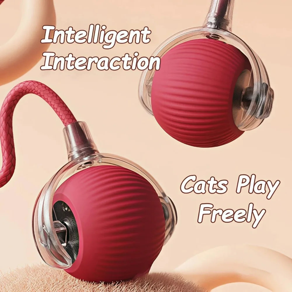 Smart Rechargeable Cat and Dog Interactive Ball