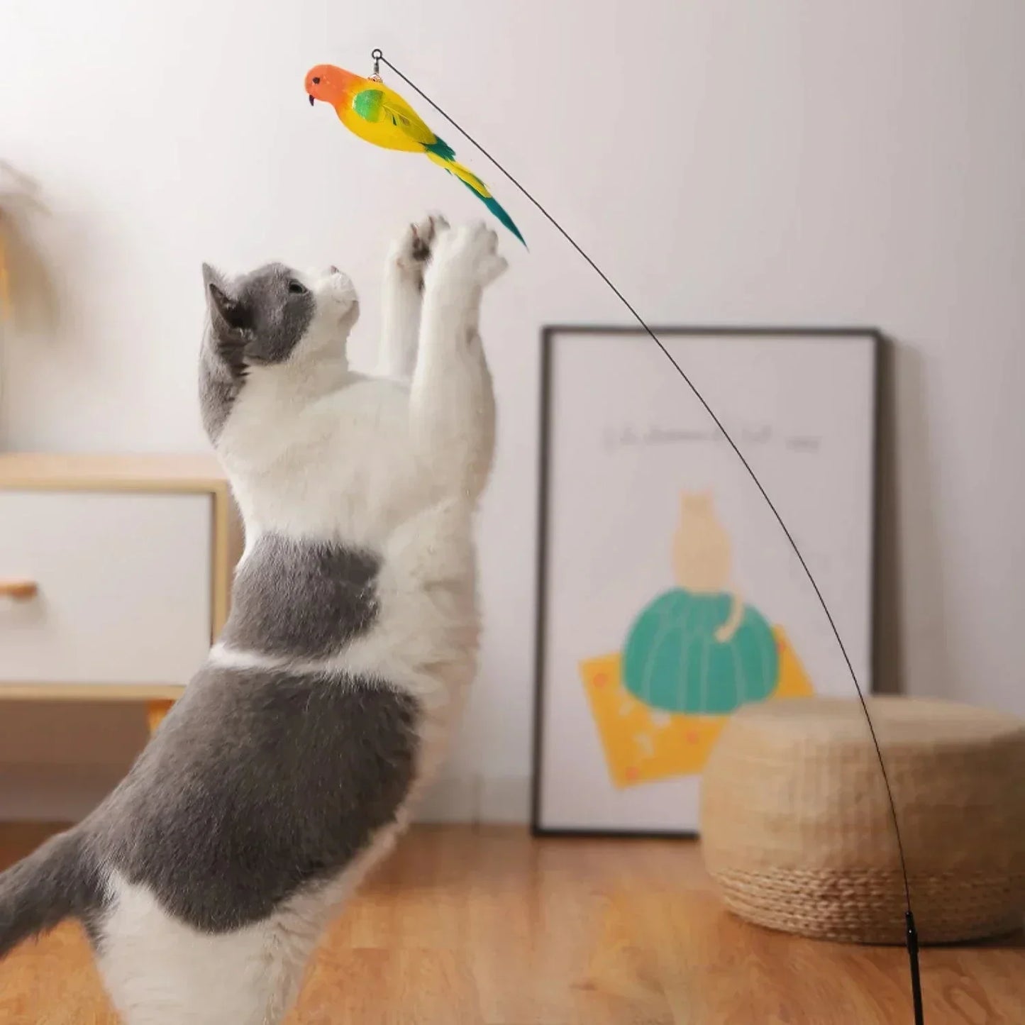 Interactive Bird Cat Toy with Bell and Feathers