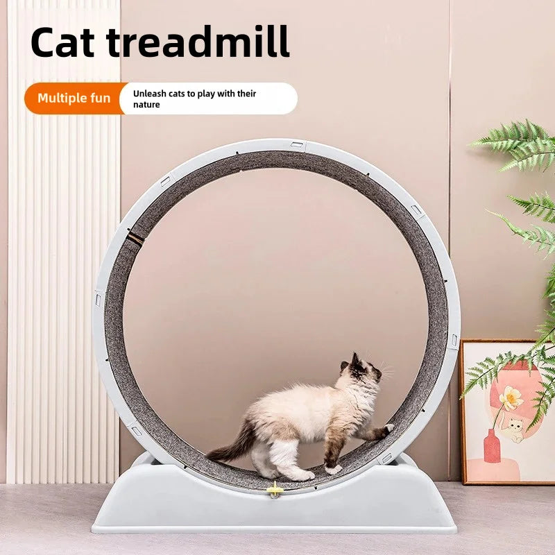 Durable Solid Color Cat Treadmill for Home Exercise