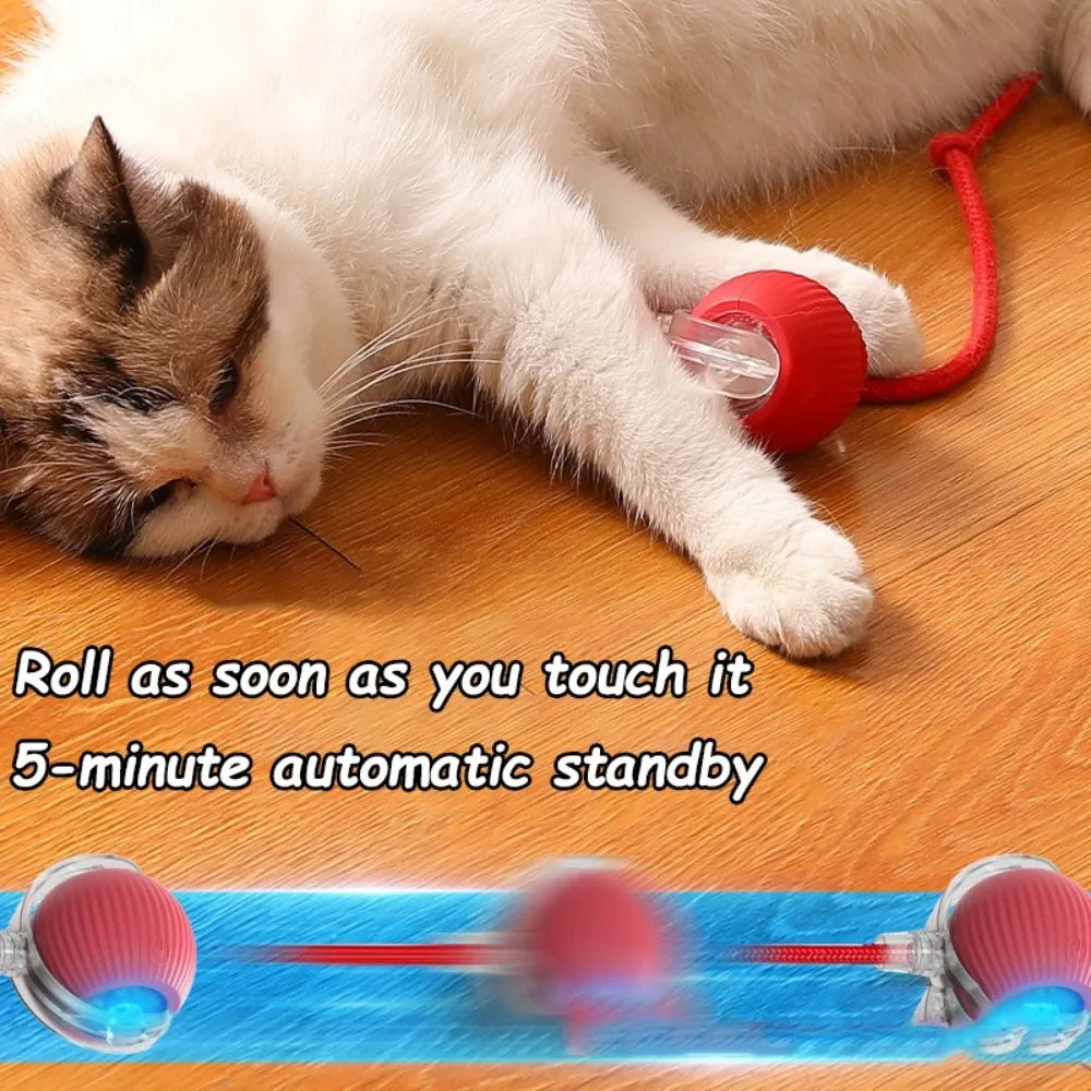 Smart Rechargeable Cat and Dog Interactive Ball