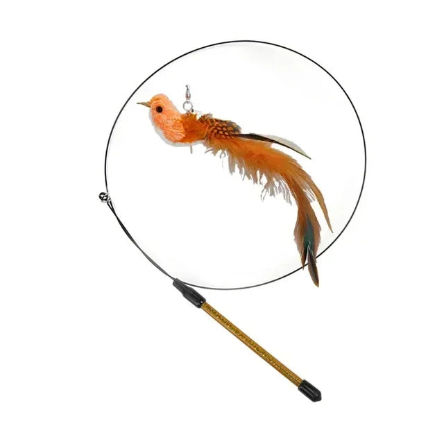 Interactive Bird Cat Toy with Bell and Feathers