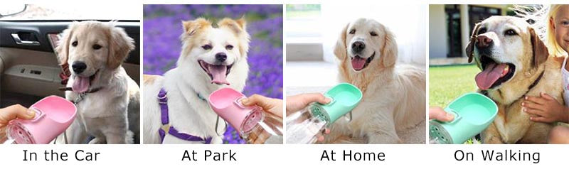 Portable Dog Water Bottle For Dogs