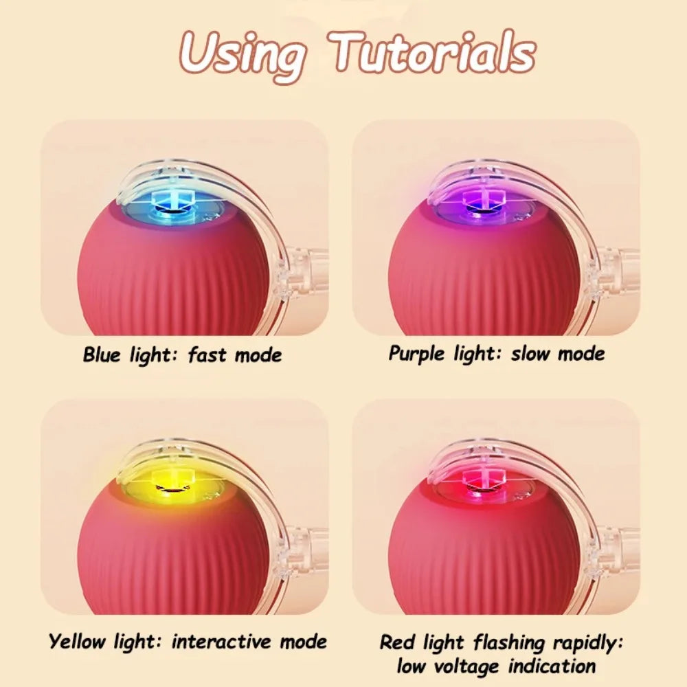 Smart Rechargeable Cat and Dog Interactive Ball