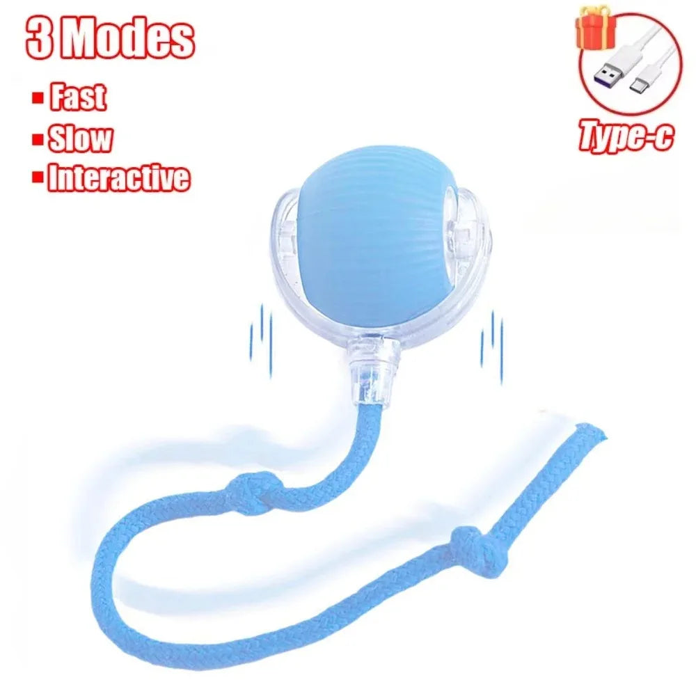 Smart Rechargeable Cat and Dog Interactive Ball