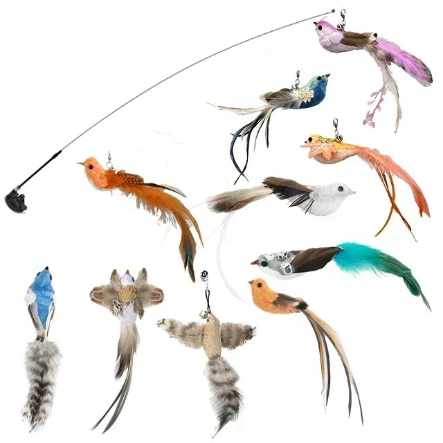 Interactive Bird Cat Toy with Bell and Feathers