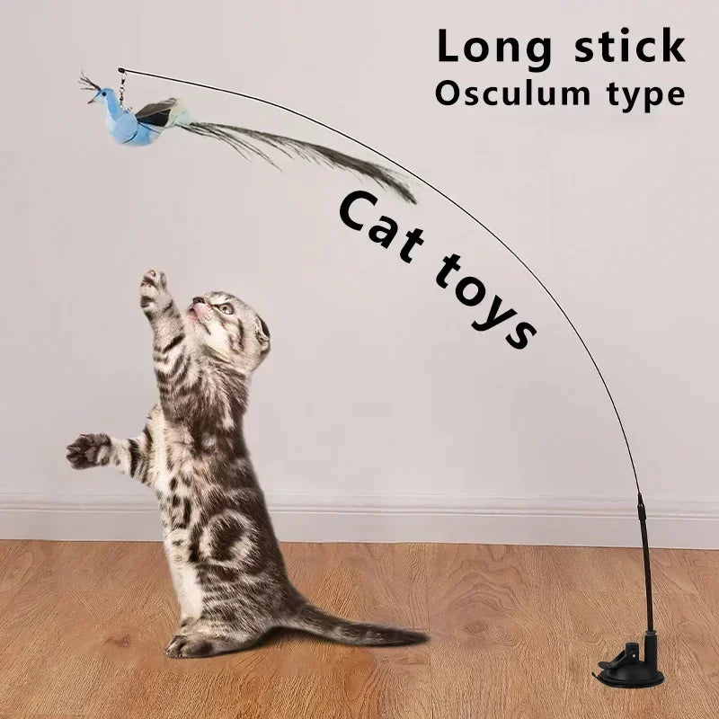Interactive Bird Cat Toy with Bell and Feathers