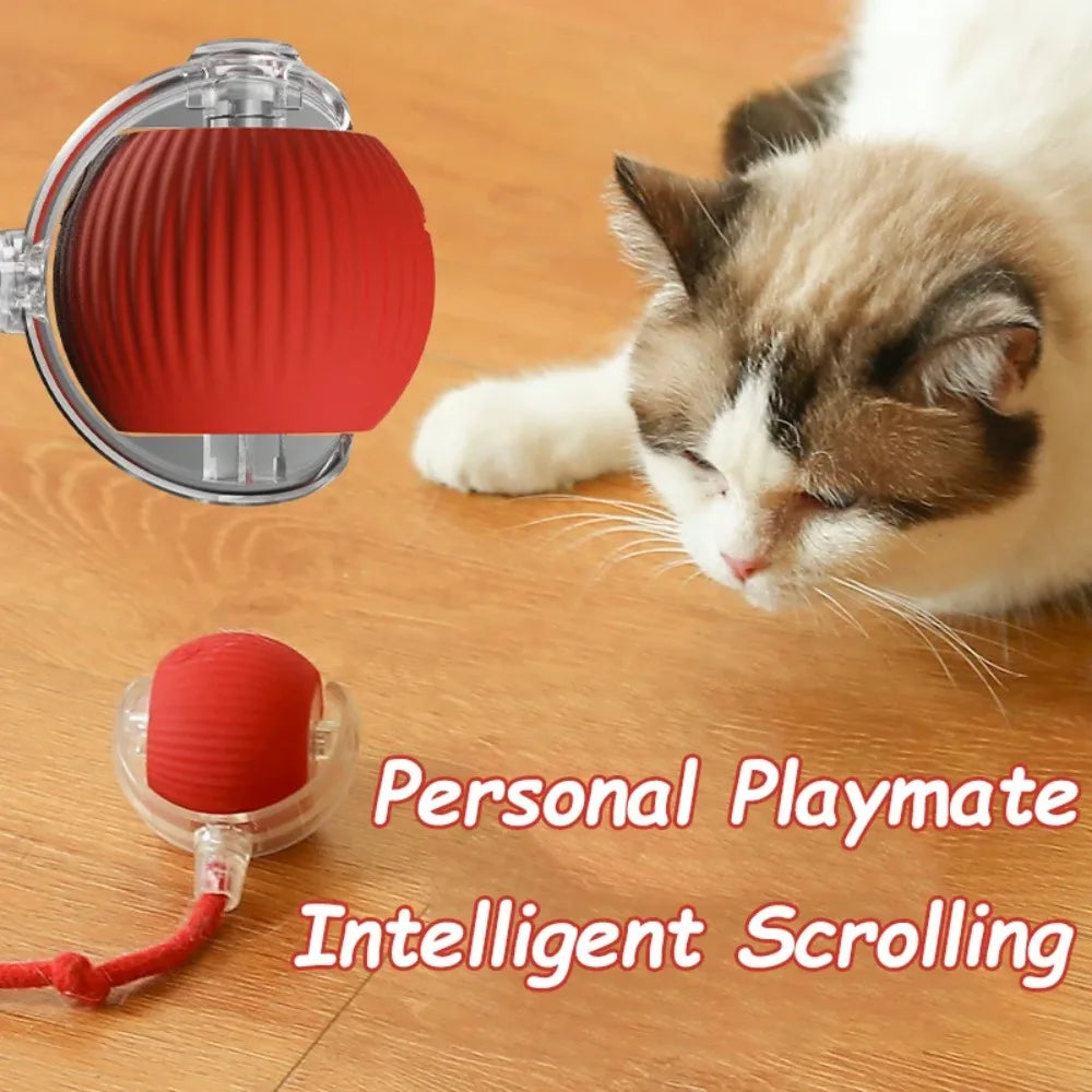 Smart Rechargeable Cat and Dog Interactive Ball