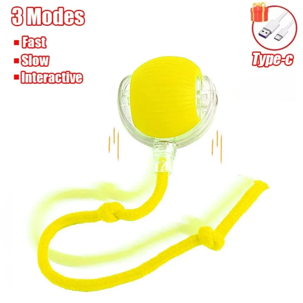 Smart Rechargeable Cat and Dog Interactive Ball