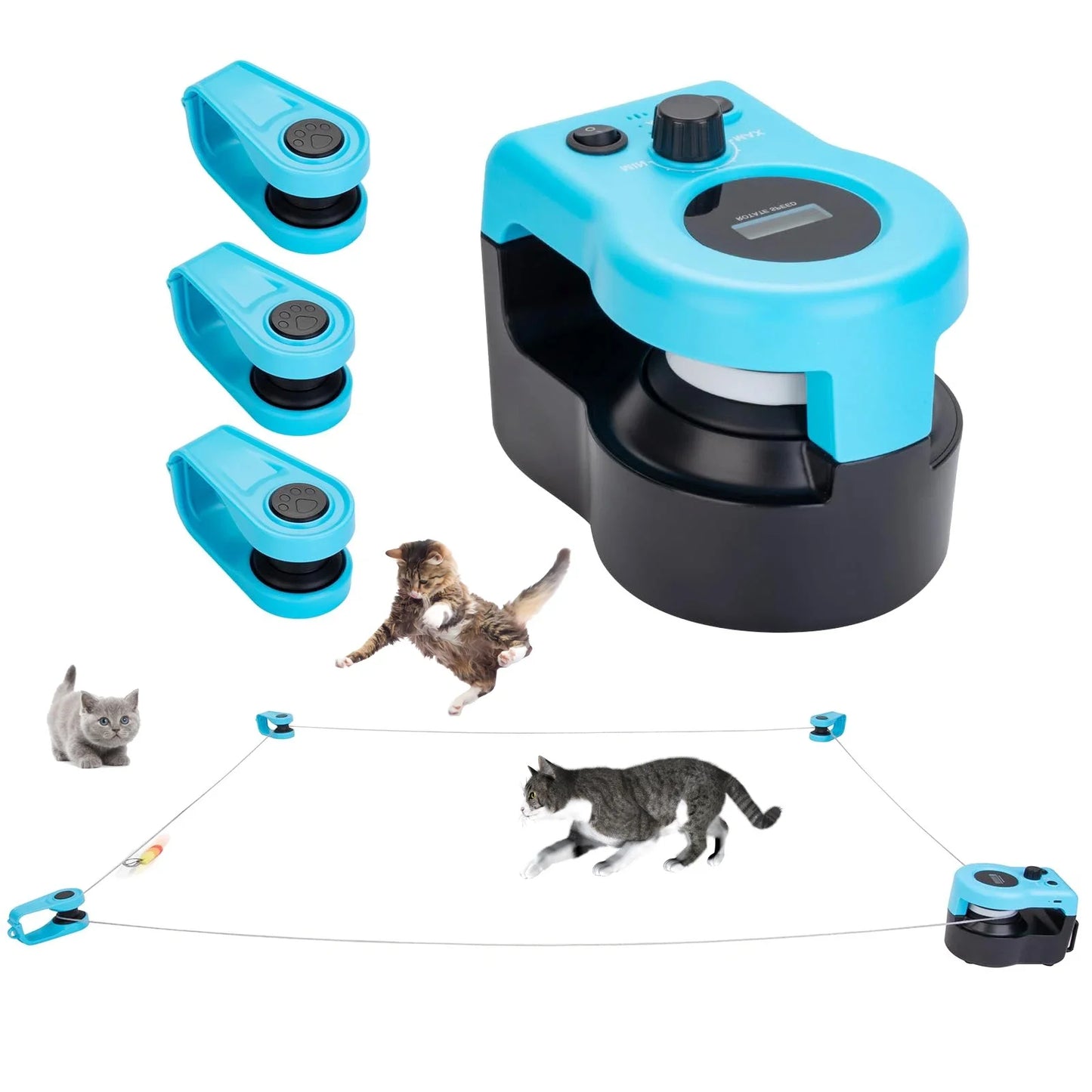 Interactive Cat Wheel Exerciser for Indoor Cats