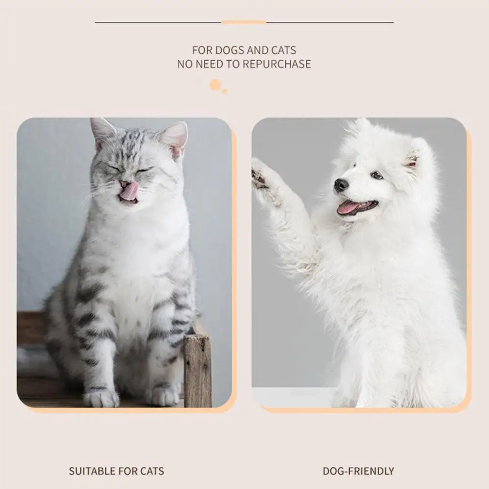 Foot Hair Trimming Dog Grooming
