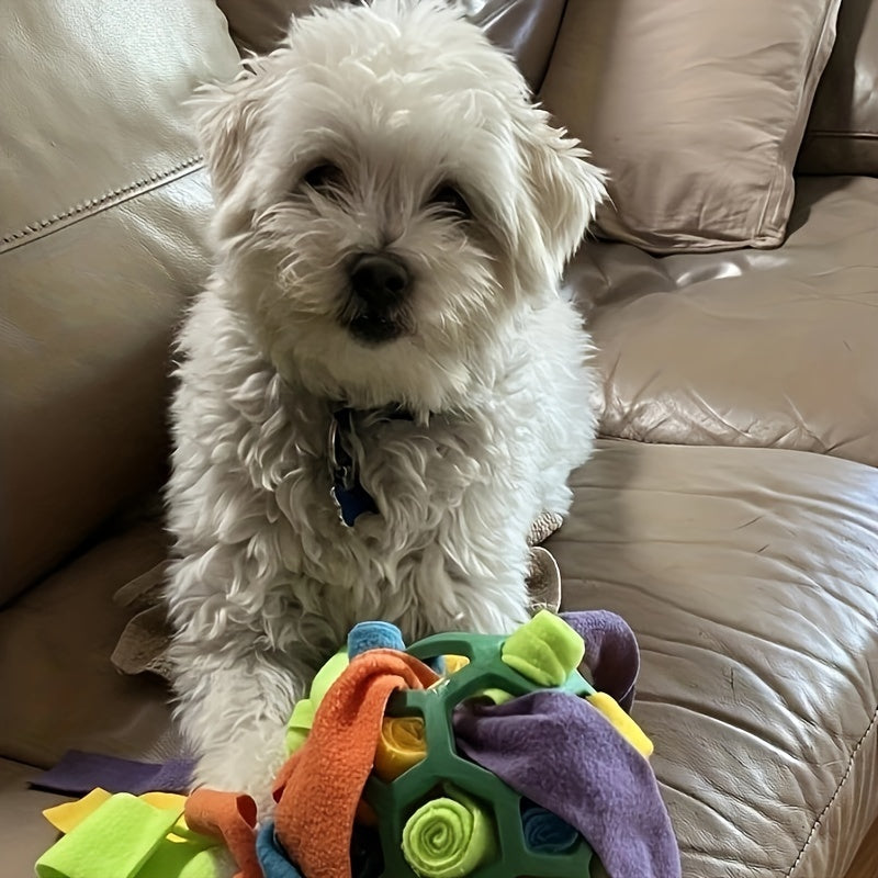 Sniffing Ball for Hiding Treats - Rubber Puzzle Ball for Mental Stimulation