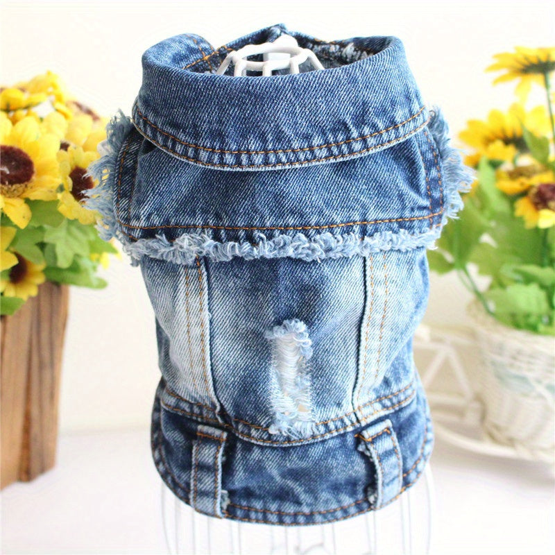 Stay Cool This Summer With Cute Dog Clothes - Jeans Clothing!