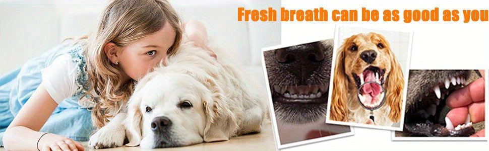 Dog Toothbrush Set