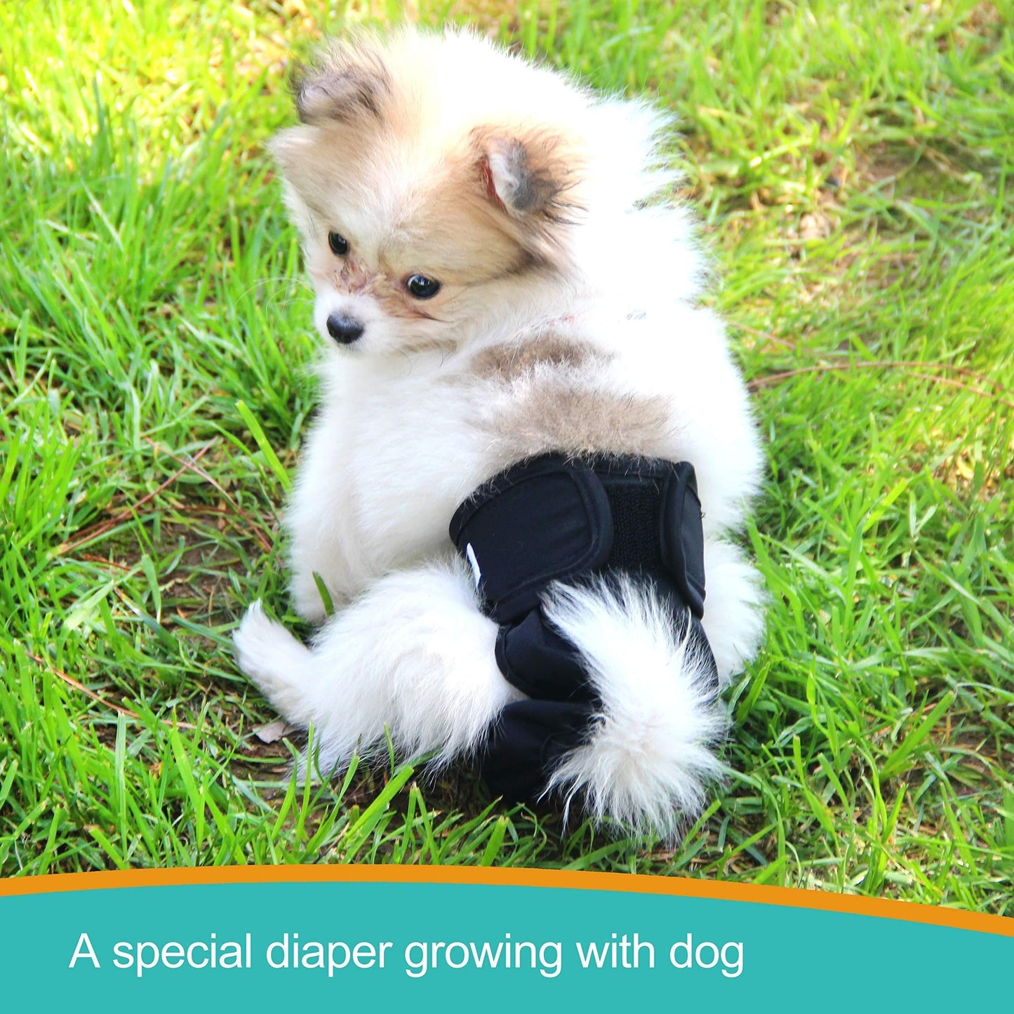 Absorbent Reusable Female Dog Diapers