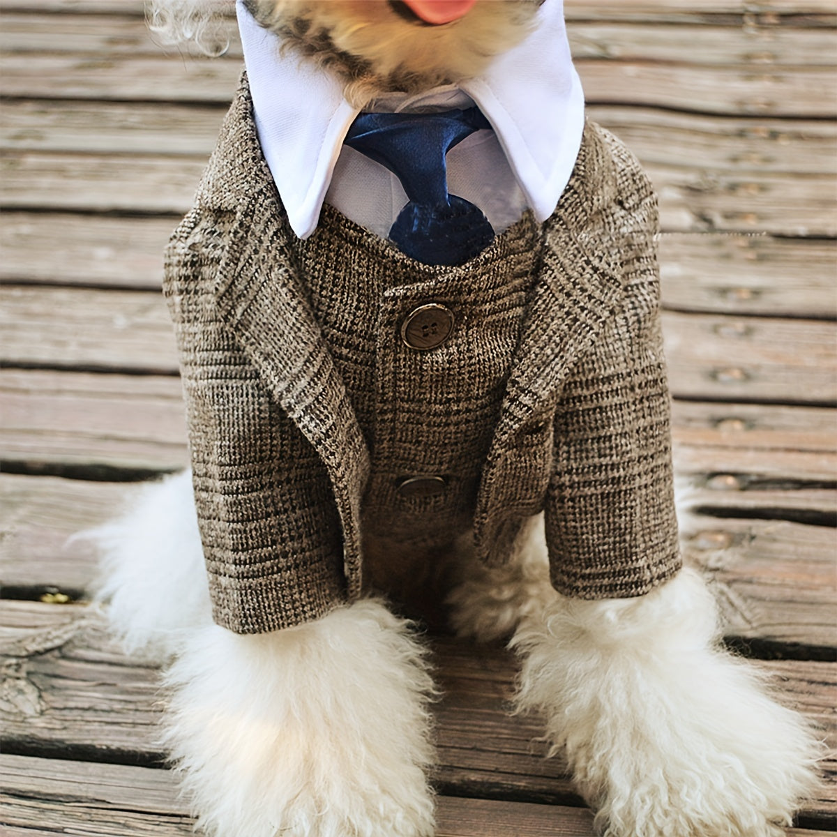 Pet Suit Jacket for Dog