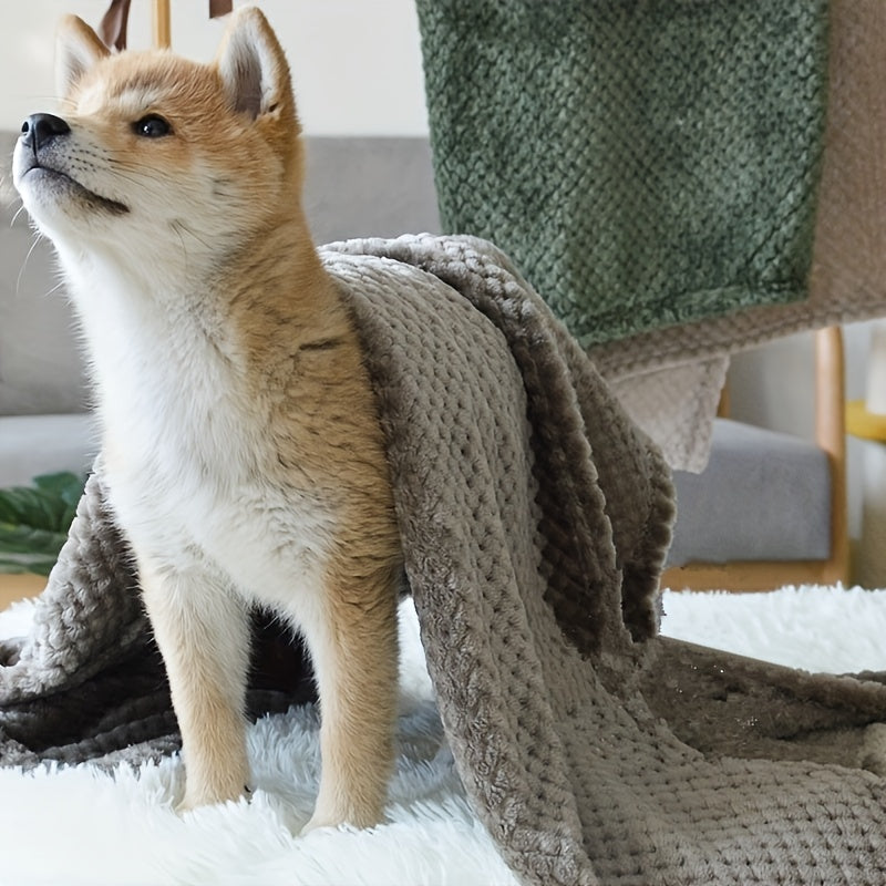 Cozy Luxurious Plush Pet Blanket for Dogs & Cat
