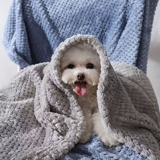 Cozy Luxurious Plush Pet Blanket for Dogs & Cat
