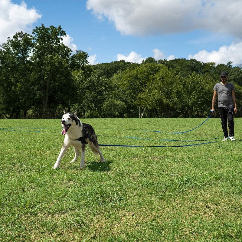 5-100ft Adjustable & Durable Dog Leash