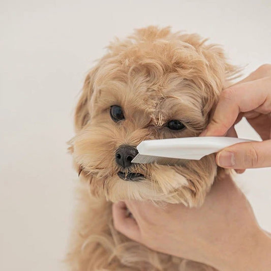 Keep Your Pet's Coat Healthy and Shiny with Pet Dog Cat Comb!