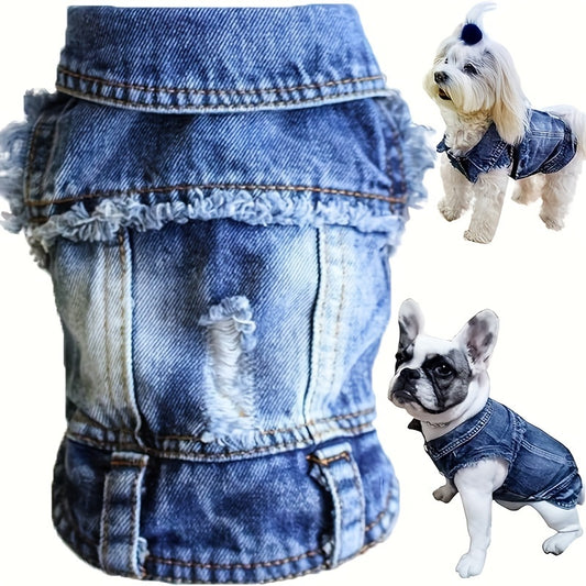 Stay Cool This Summer With Cute Dog Clothes - Jeans Clothing!