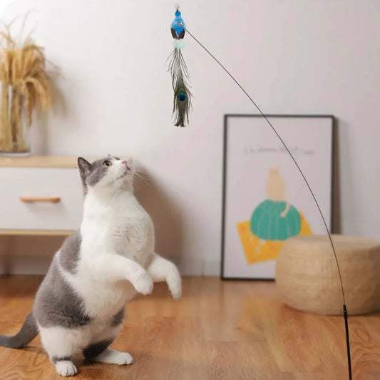 Interactive Bird Cat Toy with Bell and Feathers