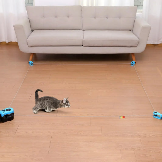 Interactive Cat Wheel Exerciser for Indoor Cats