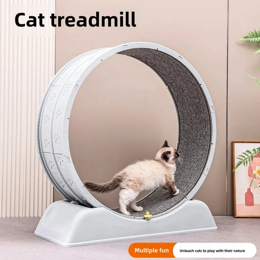 Durable Solid Color Cat Treadmill for Home Exercise