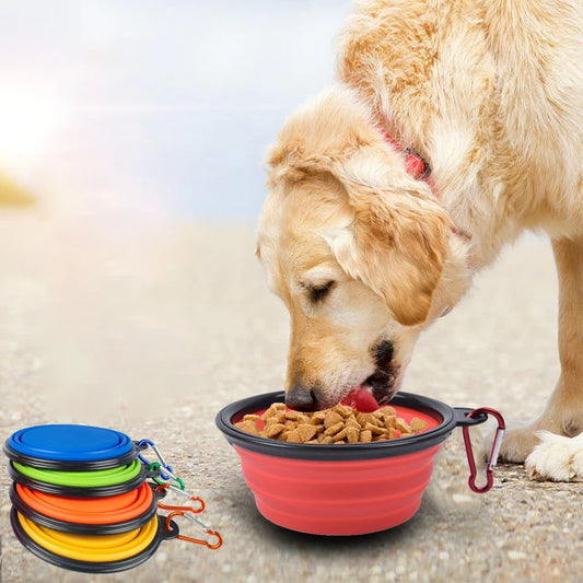 Collapsible Dog Pet Folding Silicone Bowl
