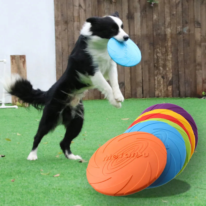 WoofsPurr